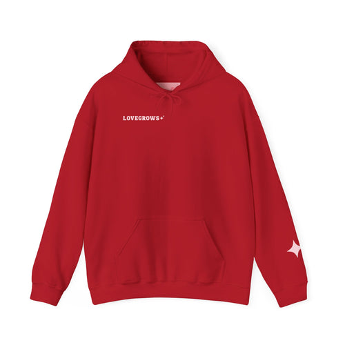 cherry oversized hoodie